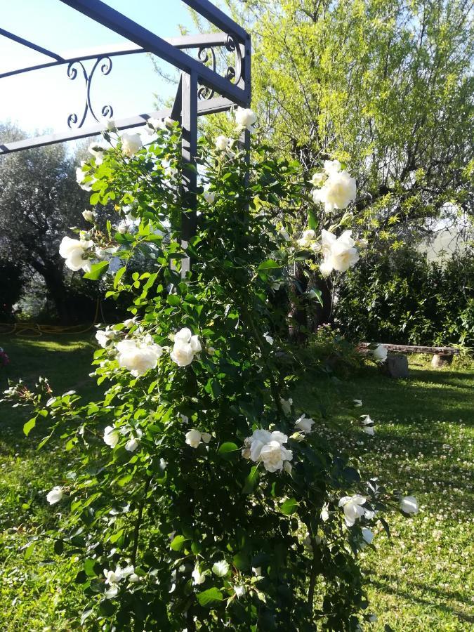 Casa Marilu Villa Santa Maria di Castellabate Dış mekan fotoğraf