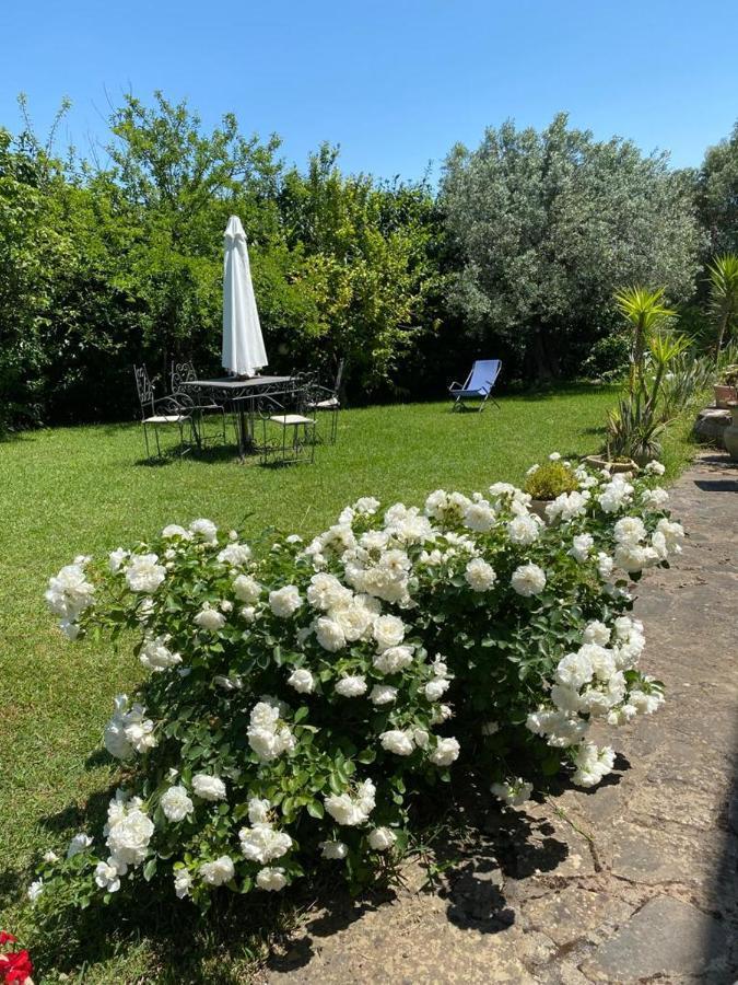 Casa Marilu Villa Santa Maria di Castellabate Dış mekan fotoğraf